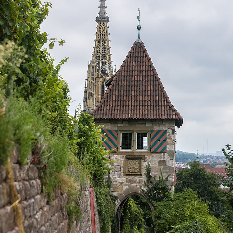 Hier kann man die Steillagen genussvoll erleben: Auf dem Weinerlebnisweg in Esslingen am Neckar. Foto: Benjamin Stollenberg