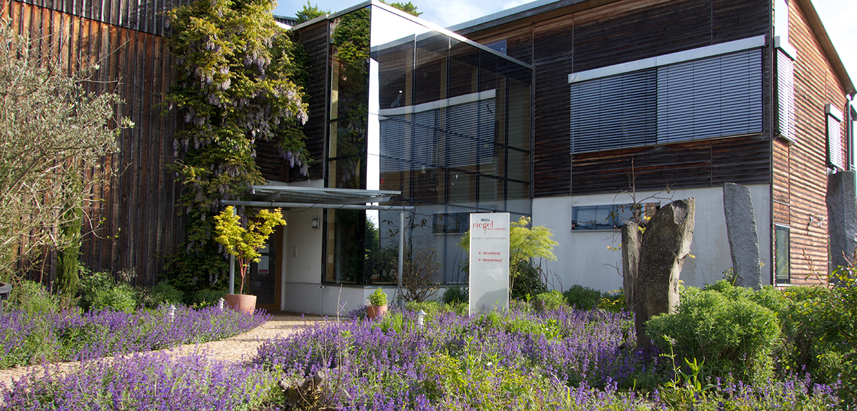 Riegel unterstützt die Ziele des Landes Baden-Württemberg zur Umsetzung des Pariser Abkommens. Foto: Riedel Bioweine